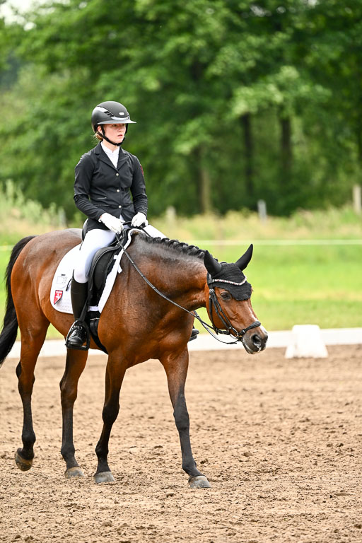 Goldene Schärpe Pferfde in Löningen 2026 | 12062026Dressur B _0615 
