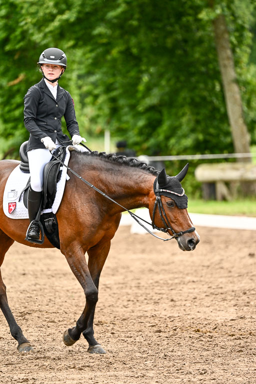 Goldene Schärpe Pferfde in Löningen 2026 | 12062026Dressur B _0616 