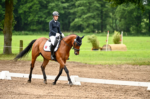 Goldene Schärpe Pferfde in Löningen 2026 | 12062026Dressur B _0621 