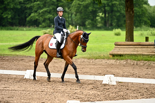 Goldene Schärpe Pferfde in Löningen 2026 | 12062026Dressur B _0622 