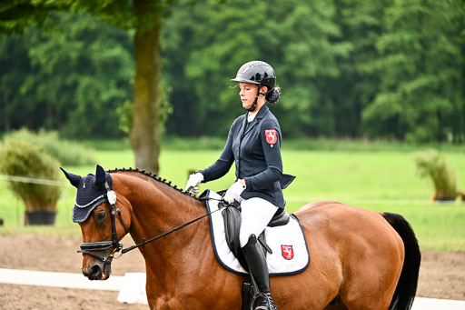 Goldene Schärpe Pferfde in Löningen 2026 | 12062026Dressur B _0624 