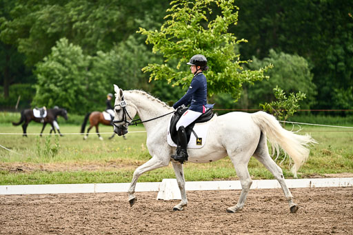 Goldene Schärpe Pferfde in Löningen 2026 | 12062026Dressur B _0625 