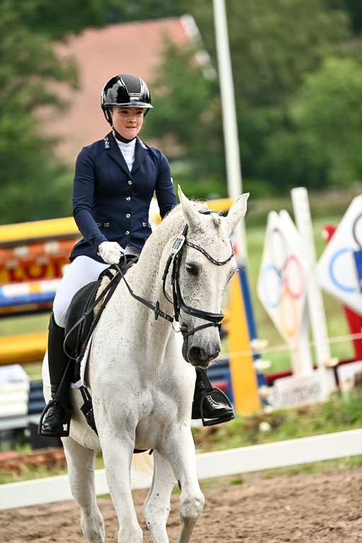 Goldene Schärpe Pferfde in Löningen 2026 | 12062026Dressur B _0627 