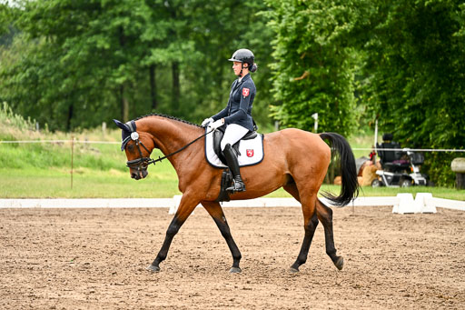 Goldene Schärpe Pferfde in Löningen 2026 | 12062026Dressur B _0628 
