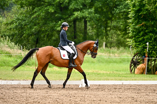 Goldene Schärpe Pferfde in Löningen 2026 | 12062026Dressur B _0630 