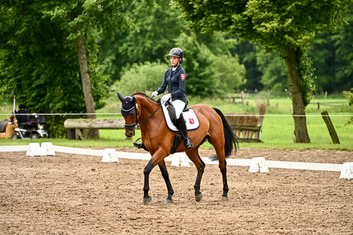 Goldene Schärpe Pferfde in Löningen 2026 | 12062026Dressur B _0631 