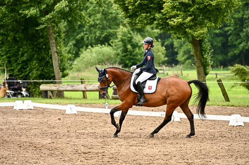 Goldene Schärpe Pferfde in Löningen 2026 | 12062026Dressur B _0632 