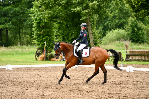 Goldene Schärpe Pferfde in Löningen 2026 | 12062026Dressur B _0634 