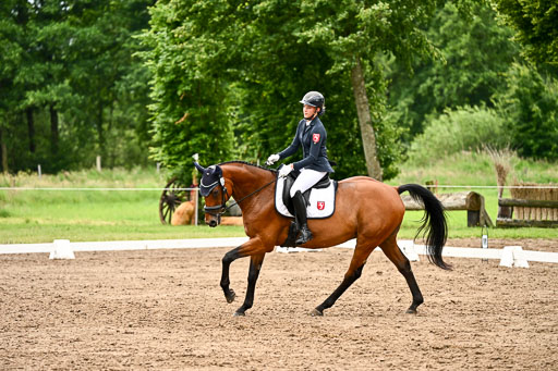 Goldene Schärpe Pferfde in Löningen 2026 | 12062026Dressur B _0635 