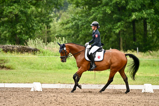 Goldene Schärpe Pferfde in Löningen 2026 | 12062026Dressur B _0636 