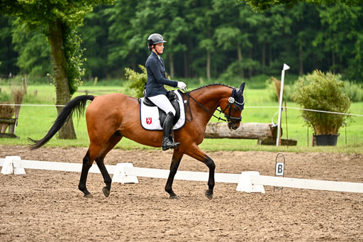 Goldene Schärpe Pferfde in Löningen 2026 | 12062026Dressur B _0637 