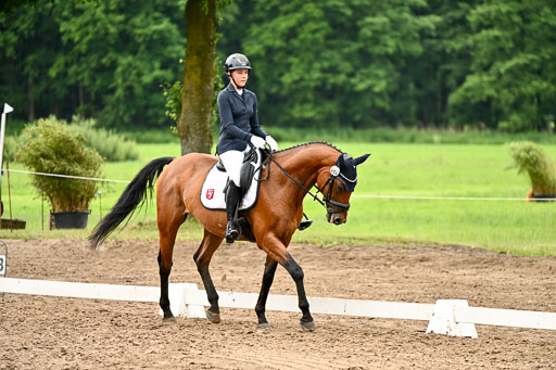 Goldene Schärpe Pferfde in Löningen 2026 | 12062026Dressur B _0638 