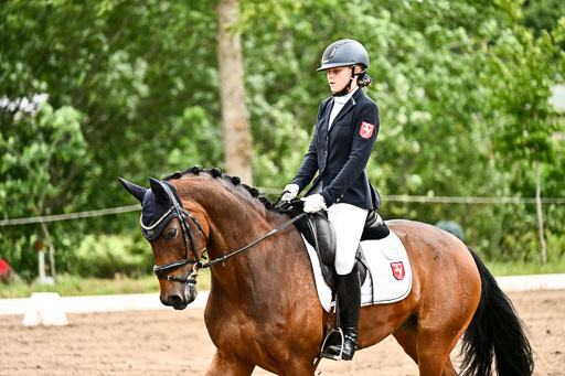 Goldene Schärpe Pferfde in Löningen 2026 | 12062026Dressur B _0639 