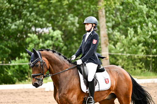 Goldene Schärpe Pferfde in Löningen 2026 | 12062026Dressur B _0640 