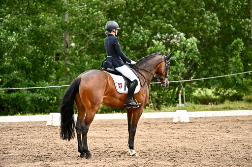 Goldene Schärpe Pferfde in Löningen 2026 | 12062026Dressur B _0641 