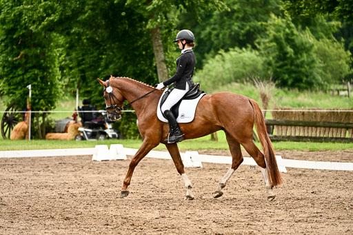 Goldene Schärpe Pferfde in Löningen 2026 | 12062026Dressur B _0642 