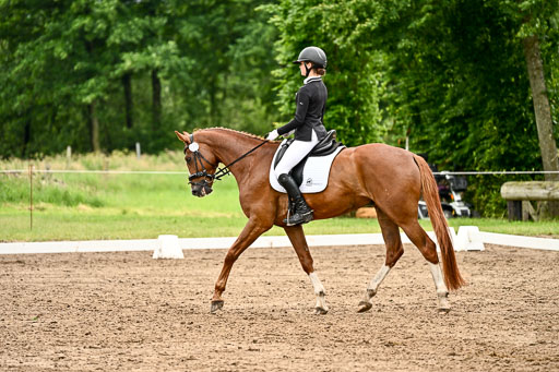 Goldene Schärpe Pferfde in Löningen 2026 | 12062026Dressur B _0643 