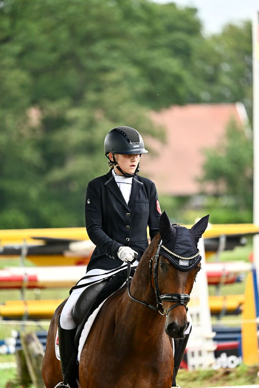 Goldene Schärpe Pferfde in Löningen 2026 | 12062026Dressur B _0644 