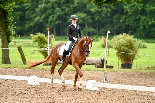 Goldene Schärpe Pferfde in Löningen 2026 | 12062026Dressur B _0645 