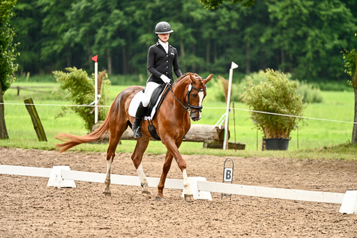 Goldene Schärpe Pferfde in Löningen 2026 | 12062026Dressur B _0646 