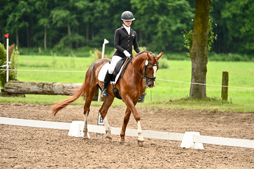 Goldene Schärpe Pferfde in Löningen 2026 | 12062026Dressur B _0647 