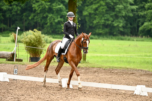 Goldene Schärpe Pferfde in Löningen 2026 | 12062026Dressur B _0648 