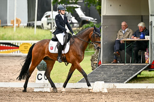 Goldene Schärpe Pferfde in Löningen 2026 | 12062026Dressur B _0649 