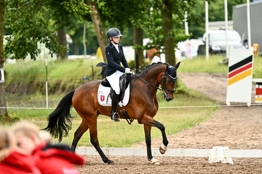 Goldene Schärpe Pferfde in Löningen 2026 | 12062026Dressur B _0651 