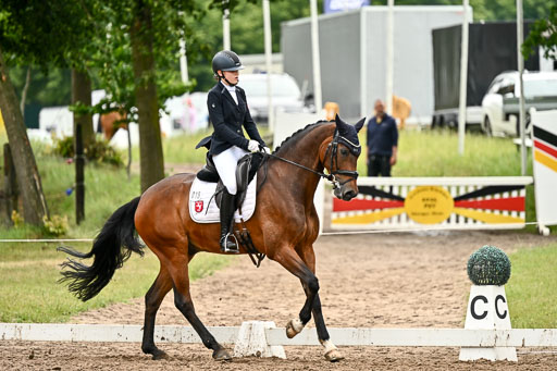 Goldene Schärpe Pferfde in Löningen 2026 | 12062026Dressur B _0652 