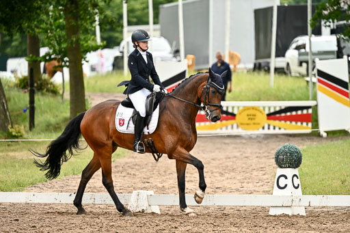 Goldene Schärpe Pferfde in Löningen 2026 | 12062026Dressur B _0653 