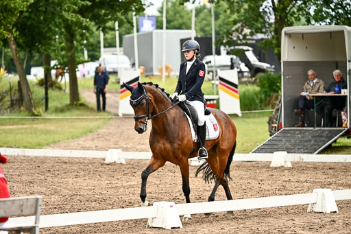 Goldene Schärpe Pferfde in Löningen 2026 | 12062026Dressur B _0654 