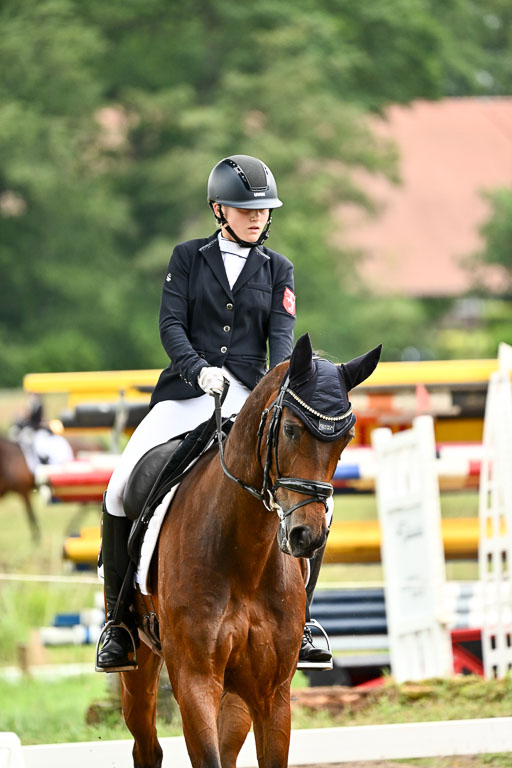 Goldene Schärpe Pferfde in Löningen 2026 | 12062026Dressur B _0655 