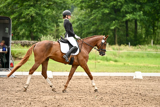 Goldene Schärpe Pferfde in Löningen 2026 | 12062026Dressur B _0656 