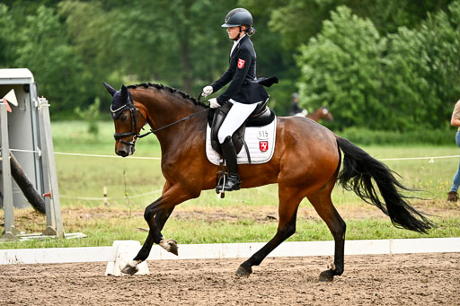 Goldene Schärpe Pferfde in Löningen 2026 | 12062026Dressur B _0657 