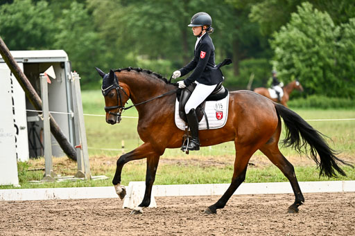 Goldene Schärpe Pferfde in Löningen 2026 | 12062026Dressur B _0658 