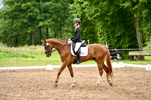 Goldene Schärpe Pferfde in Löningen 2026 | 12062026Dressur B _0659 