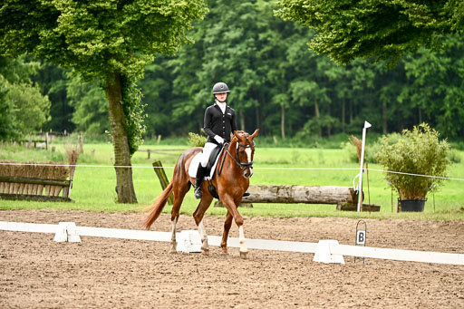 Goldene Schärpe Pferfde in Löningen 2026 | 12062026Dressur B _0660 