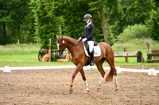Goldene Schärpe Pferfde in Löningen 2026 | 12062026Dressur B _0661 