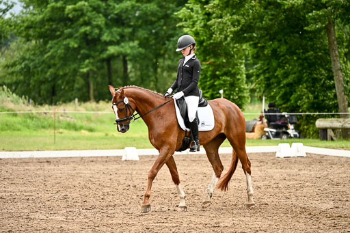 Goldene Schärpe Pferfde in Löningen 2026 | 12062026Dressur B _0662 