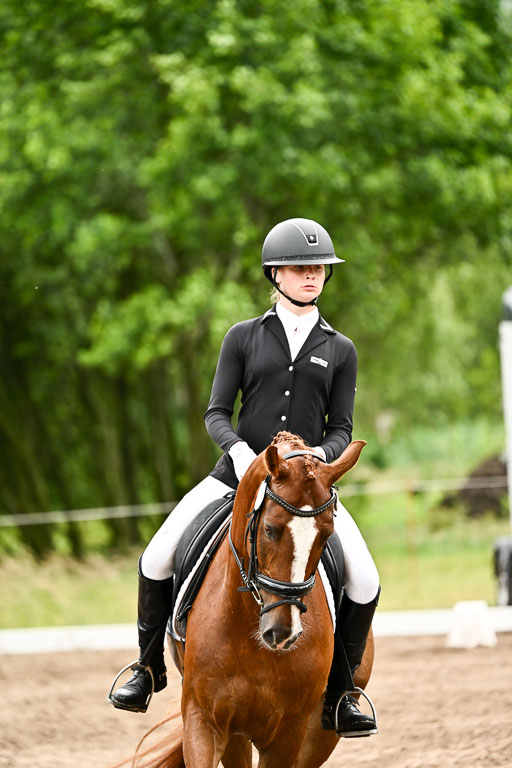Goldene Schärpe Pferfde in Löningen 2026 | 12062026Dressur B _0663 