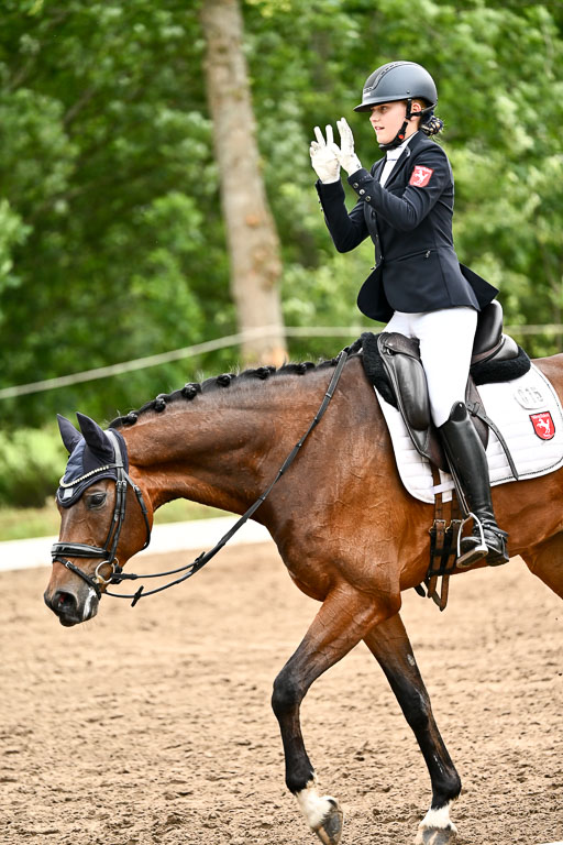Goldene Schärpe Pferfde in Löningen 2026 | 12062026Dressur B _0664 