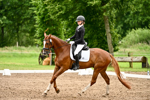 Goldene Schärpe Pferfde in Löningen 2026 | 12062026Dressur B _0666 