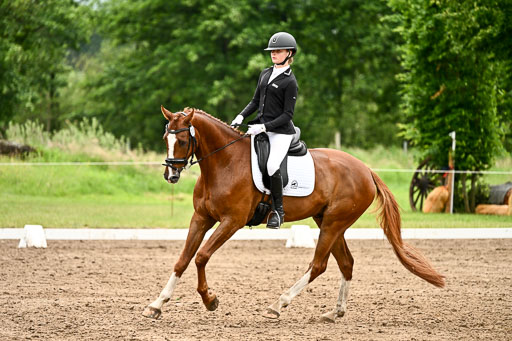 Goldene Schärpe Pferfde in Löningen 2026 | 12062026Dressur B _0667 