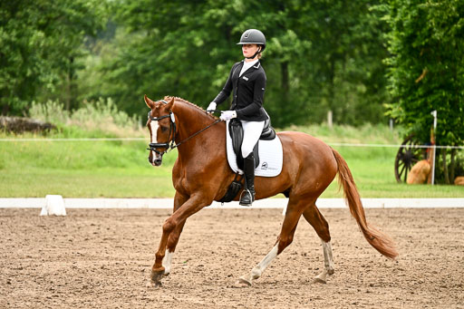 Goldene Schärpe Pferfde in Löningen 2026 | 12062026Dressur B _0668 