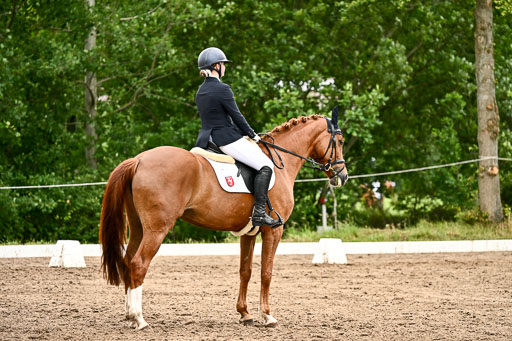 Goldene Schärpe Pferfde in Löningen 2026 | 12062026Dressur B _0669 