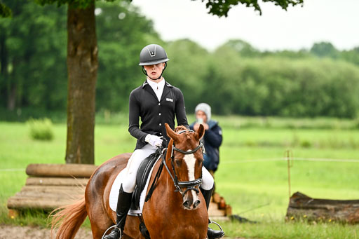 Goldene Schärpe Pferfde in Löningen 2026 | 12062026Dressur B _0671 