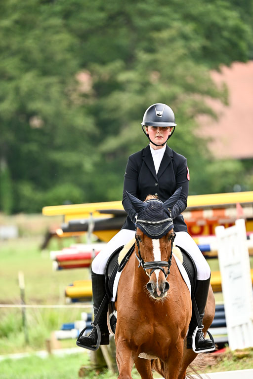 Goldene Schärpe Pferfde in Löningen 2026 | 12062026Dressur B _0674 