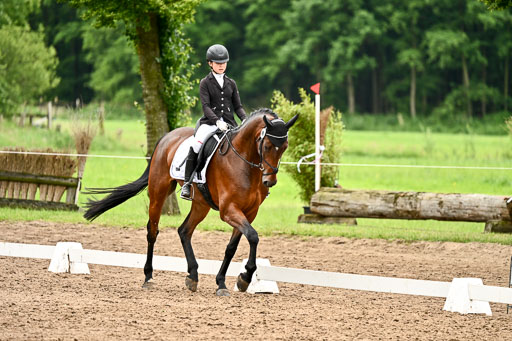 Goldene Schärpe Pferfde in Löningen 2026 | 12062026Dressur B _0676 