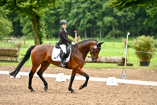 Goldene Schärpe Pferfde in Löningen 2026 | 12062026Dressur B _0678 