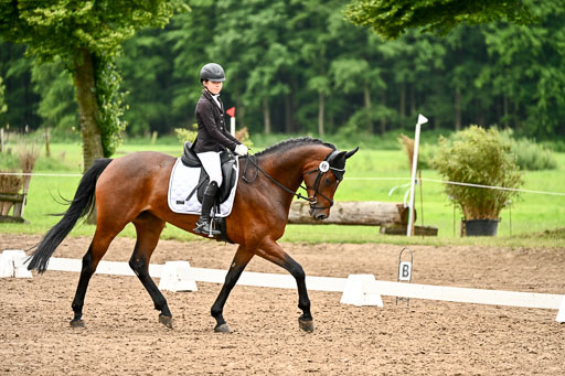 Goldene Schärpe Pferfde in Löningen 2026 | 12062026Dressur B _0679 